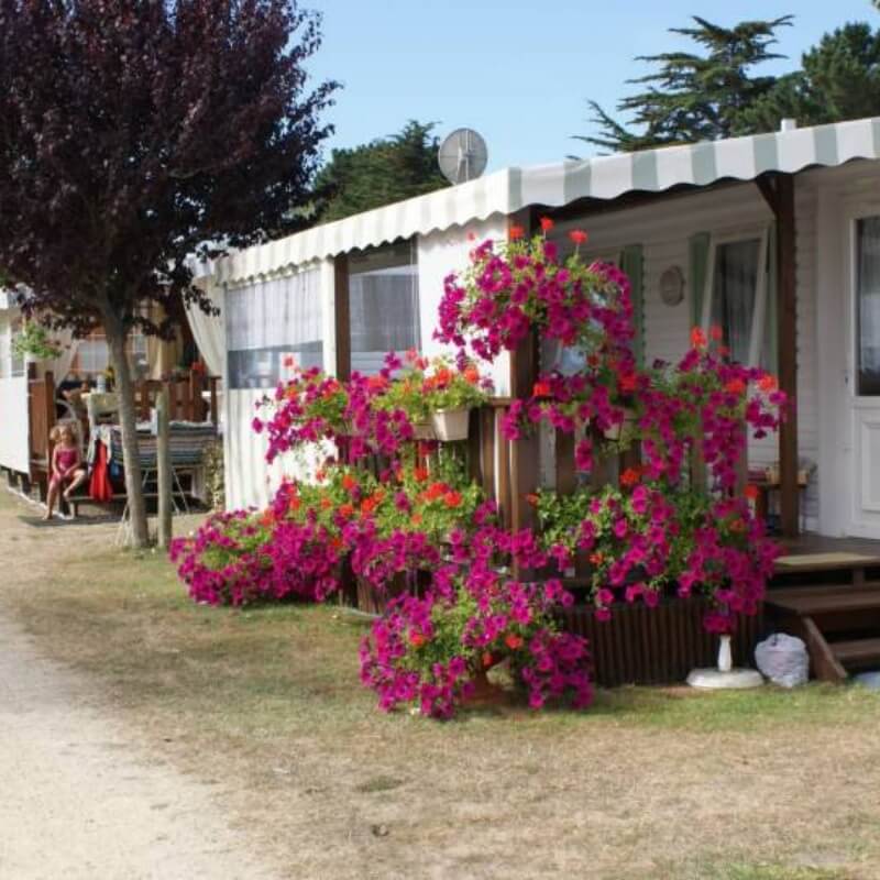 Camping Les Marsouins Camping Les Sables D Olonne Galerie Image3 1