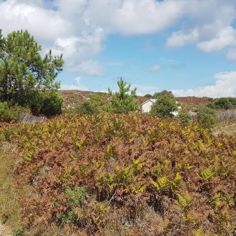Camping Les Marsouins Camping Les Sables D Olonne Littoral Vendeen 7